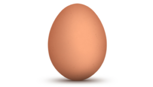 The humble egg philosophy